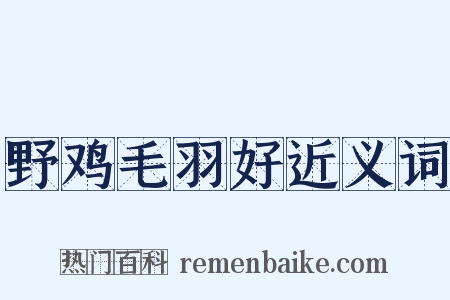 野鸡毛羽好近义词是什么意思的图片